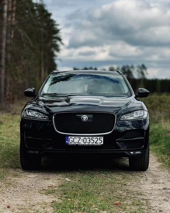 Jaguar F-Pace cena 89000 przebieg: 220024, rok produkcji 2016 z Człuchów małe 436